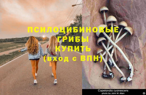 кокс Переславль-Залесский