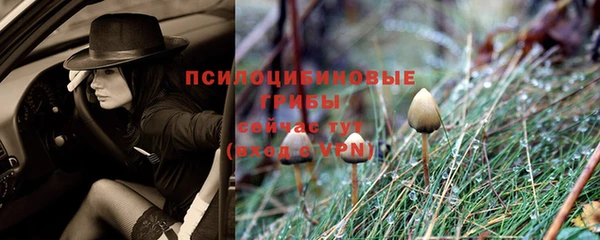 МДМА Пересвет