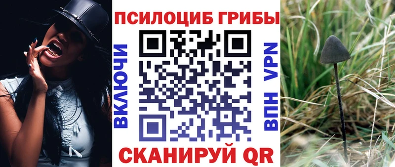 Псилоцибиновые грибы мицелий Ржев