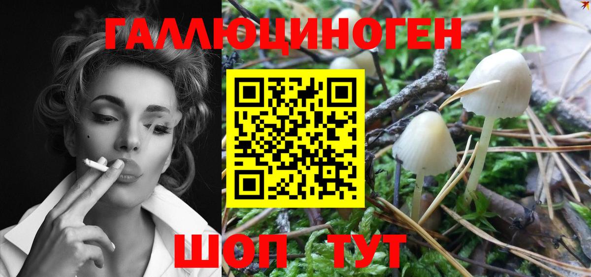 Галлюциногенные грибы MAGIC MUSHROOMS Ржев