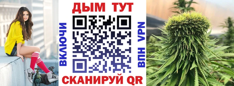 дарнет шоп  Ржев  МАРИХУАНА семена 